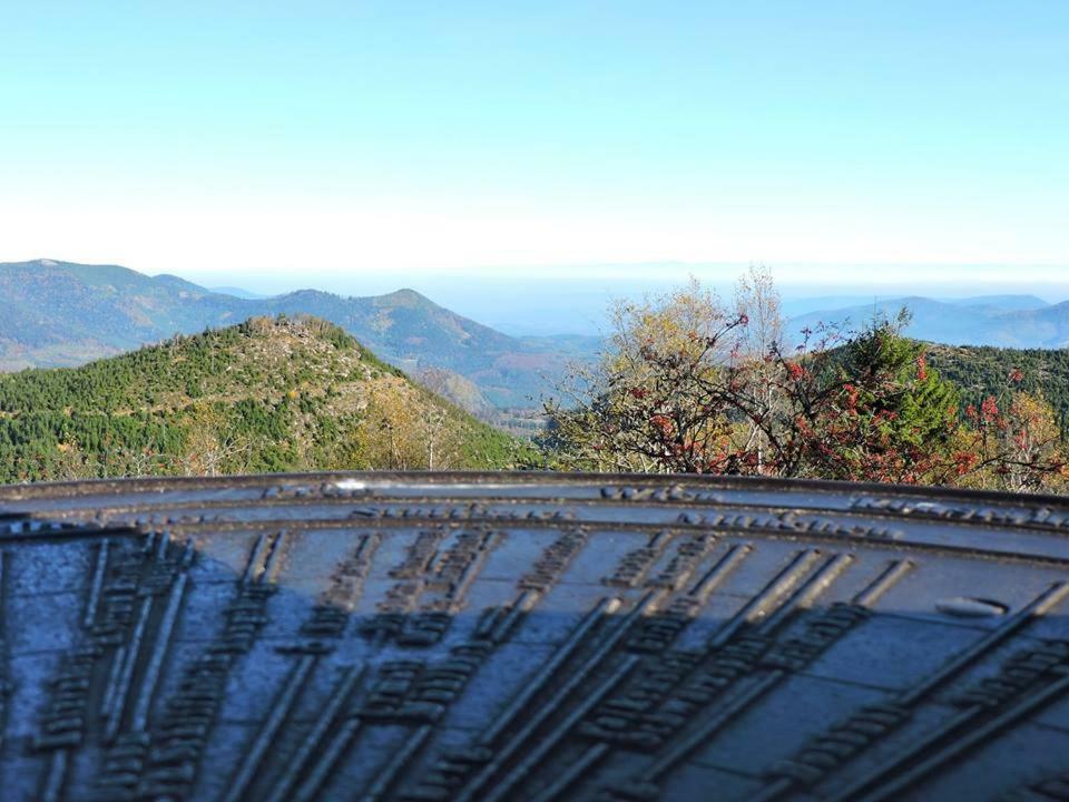 Studio Sisley Διαμέρισμα Eschau Εξωτερικό φωτογραφία